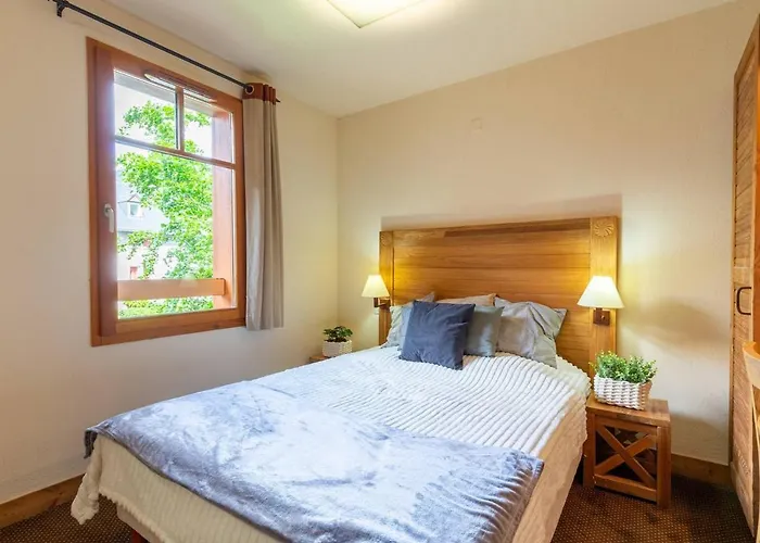 Appartement Centre-ville Avec Piscine Et Wifi Inclus, Parking Sécurisé - Fr-1-296-298 Saint-Lary-Soulan